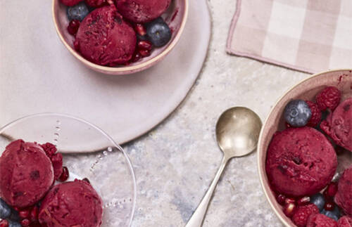 SORBET AUX FRUITS DES BOIS
