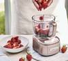 Kompakt-Mixer Rosa